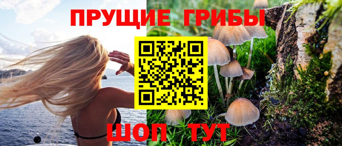 Псилоцибиновые грибы Psilocybine cubensis  Вход с VPN  Можга 